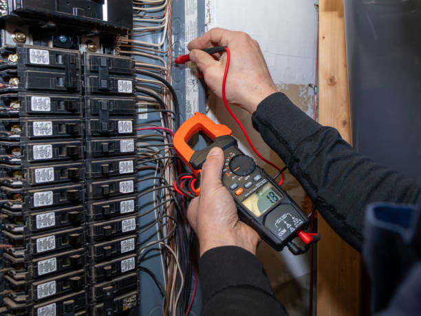 Best Electrical Repair Services  in Mckenzie, TN