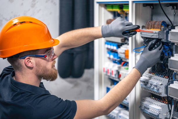Best Electric Panel Repair  in Mckenzie, TN